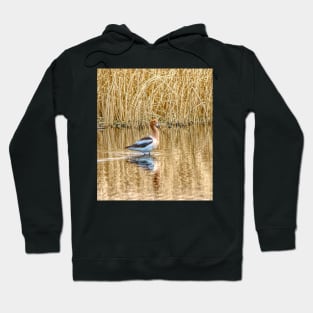 Migrating American Avocets Hoodie